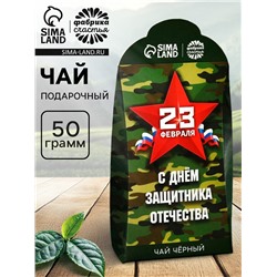 Чай подарочный «Настоящему защитнику. 23 февраля», 50 г