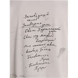 ФУТБОЛКА МУЖСКАЯ 111875