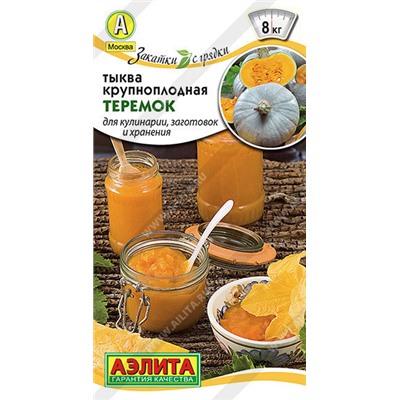 1050A Тыква крупноплодная Теремок 2 г