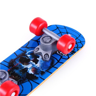 Игрушка для птиц «Скейт», МИКС