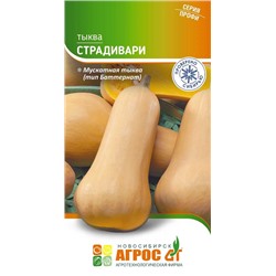 Тыква Страдивари (Код: 93660)