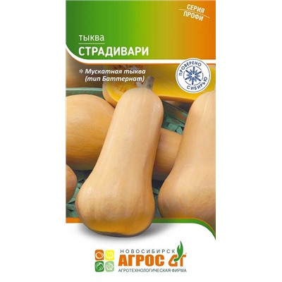 Тыква Страдивари (Код: 93660)