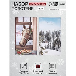 Набор кухонных полотенец «Доляна. Зимняя сказка»: 35×60 см-2 шт., 100% хлопок, рогожка, 160 г/м²