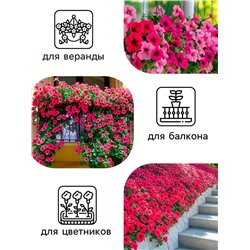 Семена Цветов Петуния "Тайдал Вейв Пурпл", 5 шт