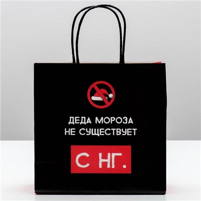 Пакет подарочный новогодний «Деда мороза не существует», 22×22×11 см