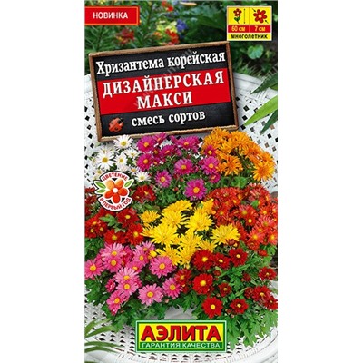 Хризантема Дизайнерская макси, корейская смесь сортов (Аэлит