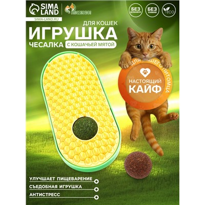 Игрушка-чесалка для кошек с кошачьей мятой и мататаби, 13.5 см