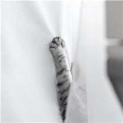 Волшебная Ночь Штора 926881