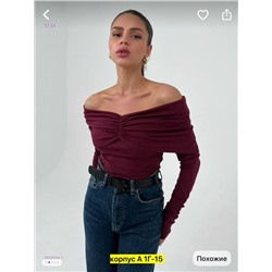 Лонгослив 2052344-1