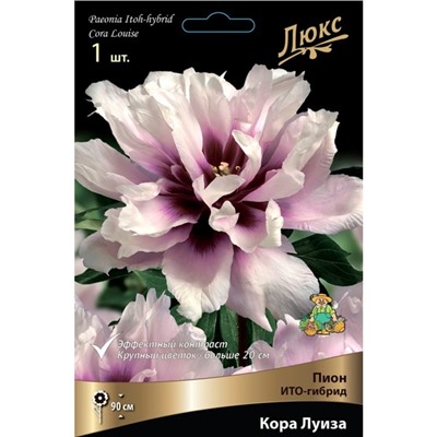 Пионы ИТО-гибриды Кора Луиза 1 шт., р-р 2-3, Весна 2026