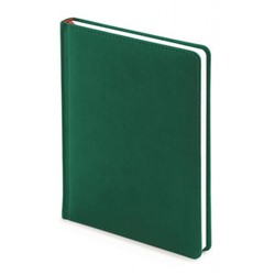 Ежедневник недатированный А6+ 272 стр. "VELVET" (ТЕМНО-ЗЕЛЕНЫЙ) 3-495/24 Bruno Visconti