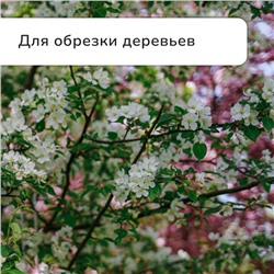 Сучкорез профессиональный, 26.4−37" (67.5−94 см), телескопический, с пластиковыми ручками, МИКС, Greengo
