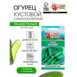 Семена Огурец «Кустовой», 0.5 г, «Рецепты дедушки Никиты»