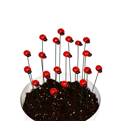 Штекер садовый «Божья коровка дарли», 2.5 см, h=25 см, набор 20 шт.