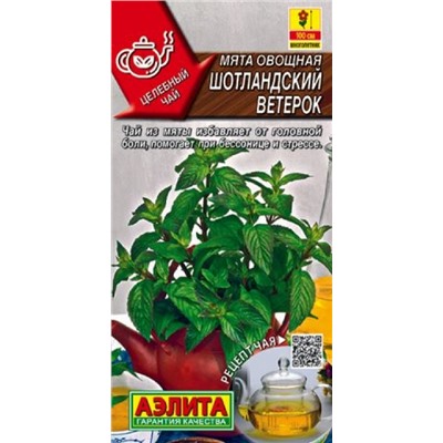 Мята Шотландский ветерок (Код: 88206)