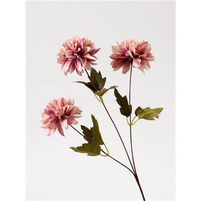 Цветы искусственные «Георгин садовый», 9×60 см, пепельно-розовые