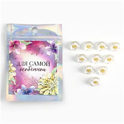Заколки для волос «Для самой особенной», 10 шт., 1.3×1.3×1.5 см