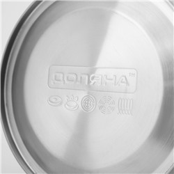 Чайник Доляна «Чёрная ночь», 2 л, со свистком, индукция, нержавеющая сталь, хромированный