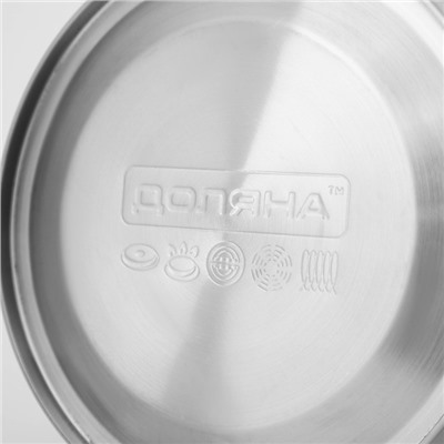 Чайник Доляна «Чёрная ночь», 2 л, со свистком, индукция, нержавеющая сталь, хромированный