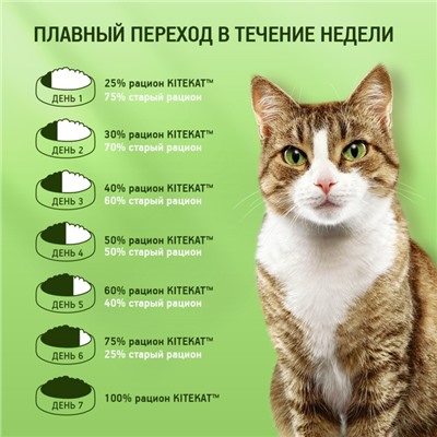 Сухой корм KiteKat «Мясной пир» для кошек, 15 кг
