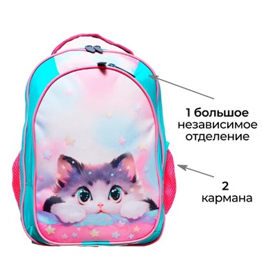 Рюкзак школьный, эргономичная спинка, 37×27×16 см «Котик Корея»