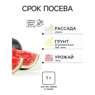 Семена Арбуз «Ультраскороспелый», 1 г, «Удачные семена»
