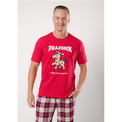 CLEVER Набор MHP450713/2