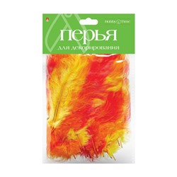 Перья для декорирования МЕГАМИКС, 6 ВИДОВ, НАБОР №3 2-405/02 Альт