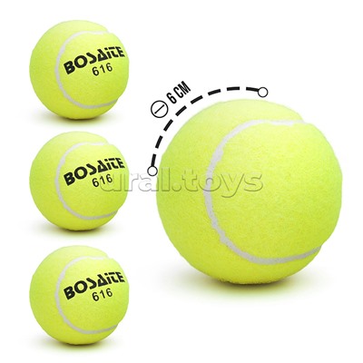 Набор мячей для большого тенниса (3 шт.) в пакете