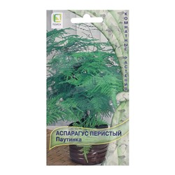 Семена цветов Аспарагус перистый «Паутинка», 5 шт., «ПОИСК»