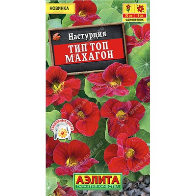 1666A Настурция Тип топ махагон 5 шт