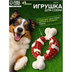 Игрушка для собак «Кость» Пижон Premium, 12.5 см, TPR+нейлон