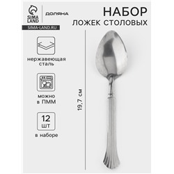 Набор столовых ложек Доляна «Снежная королева», длина 19.7 см, набор 12 шт., нержавеющая сталь, серебристый