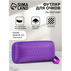 Футляр для очков на молнии, длина 17 см, МИКС