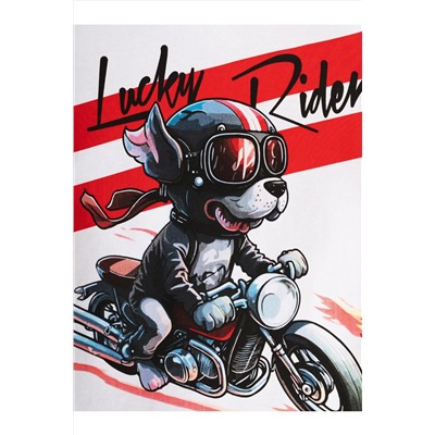 Фуфайка трикотажная для мальчиков (футболка) PLAYTODAY, 1239881