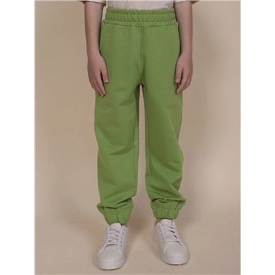 PELICAN Брюки BFPQ3321U