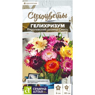 Гелихризум Королевский размер см. Сухоцветы (Алтай)