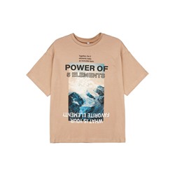 Фуфайка трикотажная для мальчиков (футболка)