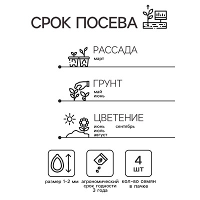 Семена Родохитон "Пурпурные фонарики", ц/п,  4 шт.