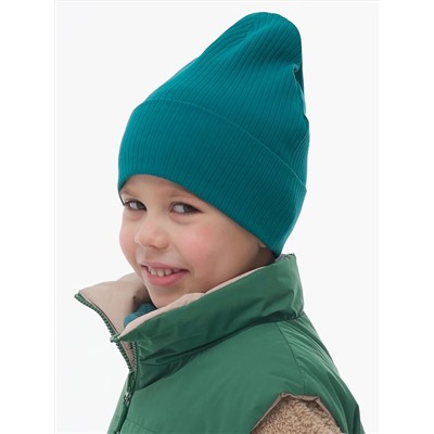 PELICAN Шапка BFQZ3322