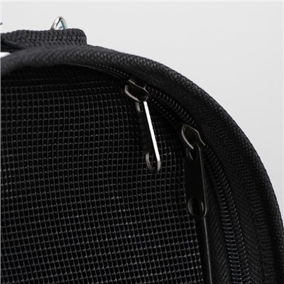 Сумка - переноска для животных «Играющие котики», размер M, 40×21×27 см голубая