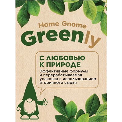 Концентрированный гель-мультиочиститель Home Gnome Greenly