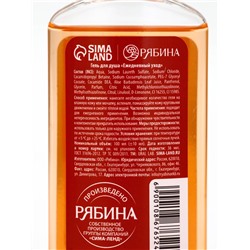 Новогодний подарочный набор косметики: гель для душа 100 мл и бомбочка для ванны 100 г, аромат мандарин, URAL LAB