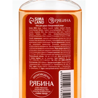 Новогодний подарочный набор косметики: гель для душа 100 мл и бомбочка для ванны 100 г, аромат мандарин, URAL LAB