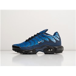 Кроссовки Nike Air Max Plus TN