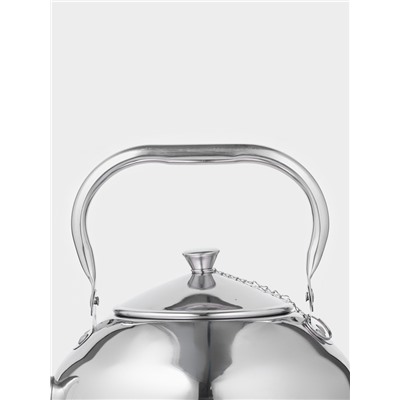 Заварочный чайник «Аркадий», 3 л, нержавеющая сталь, хромированный