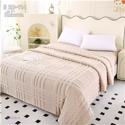 ПЛЕДЫ 2050508-8