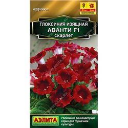 Глоксиния Аванти Скарлетт F1 (Код: 93551)