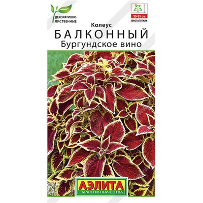1536A Колеус балконный Бургундское вино 5 шт