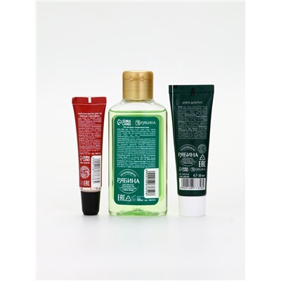 Подарочный набор новогодний: гель для душа, крем для рук и бальзам для губ, аромат яблоко, URAL LAB